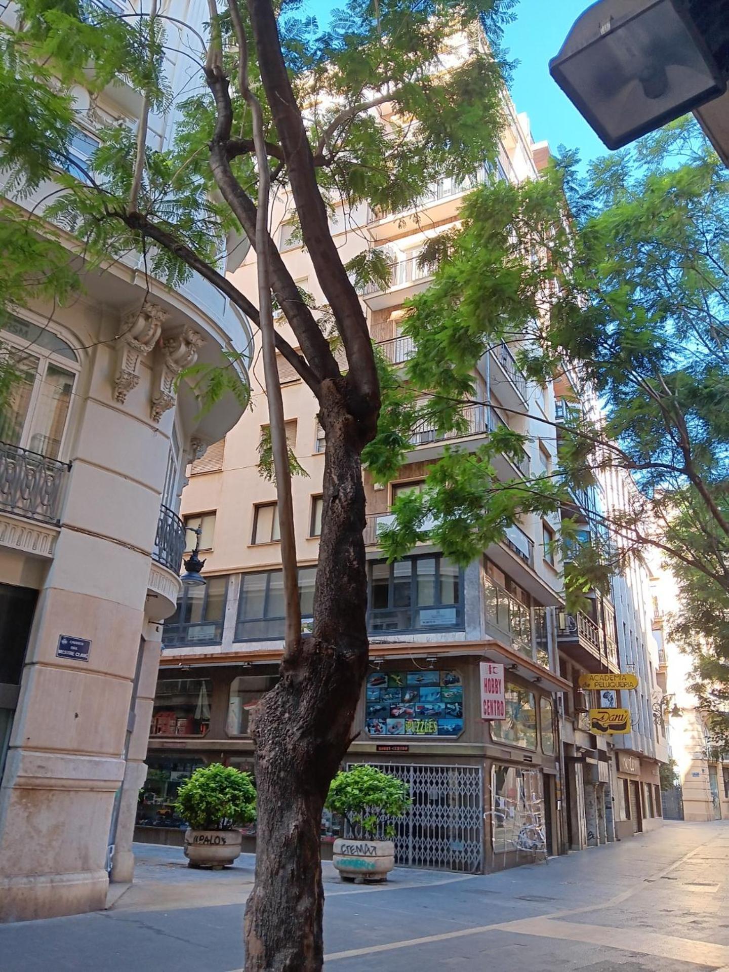 Apartamento Familiar Centro Historico Plaza Ayuntamiento "Ciutat Vella" バレンシア エクステリア 写真